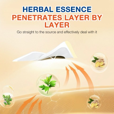 Stomach cleasing patch