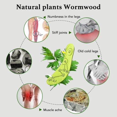 Wormwood Body Cleansing Health Insole